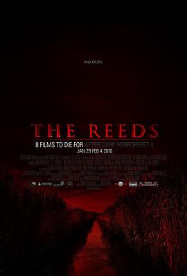 蘆葦?shù)?>
                    </div>
                </div>
            </div>
            <div   id=