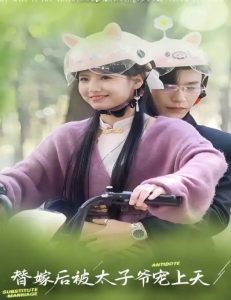 替嫁后被太子爺寵上天