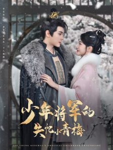 少年將軍的失憶小青梅