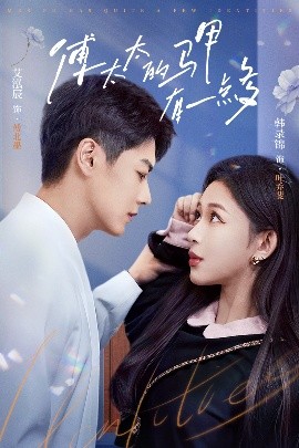 傅太太的馬甲有一點(diǎn)多