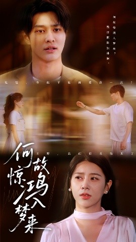 何故驚鴻入夢來