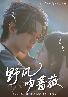 野風(fēng)吻薔薇