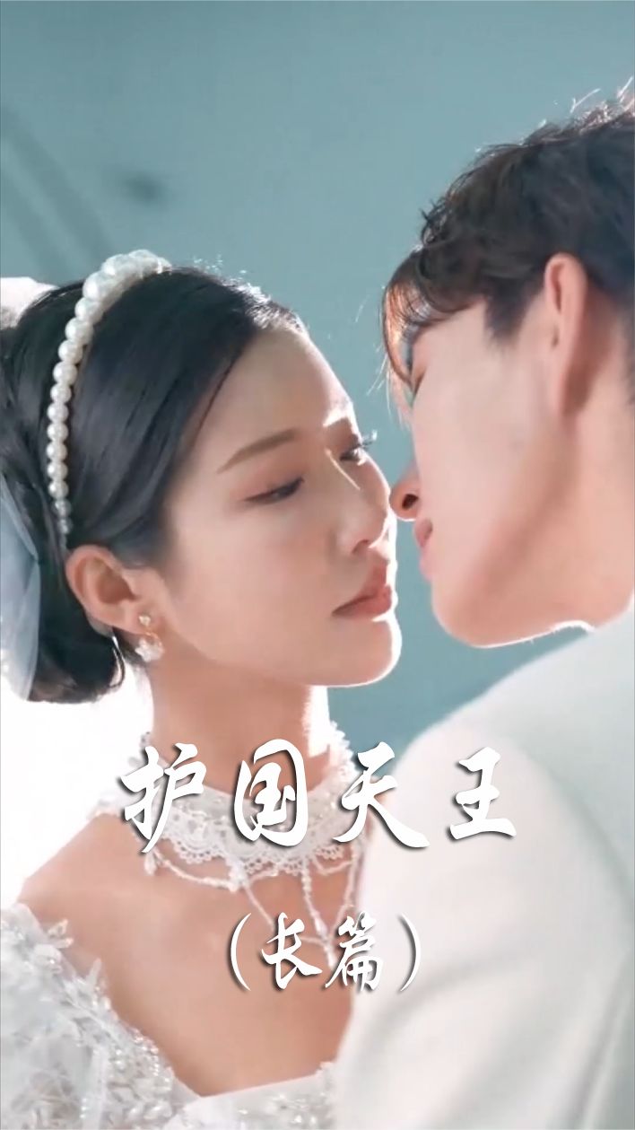 護(hù)國(guó)天王