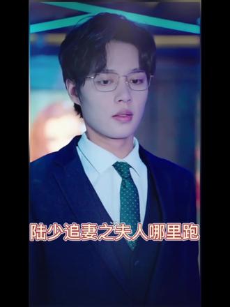 陸少追婚之夫人哪里跑
