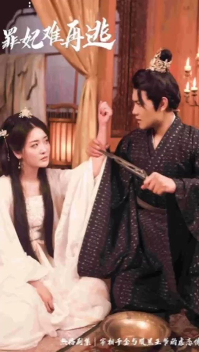 只愿從來(lái)不識(shí)君&罪妃難再逃