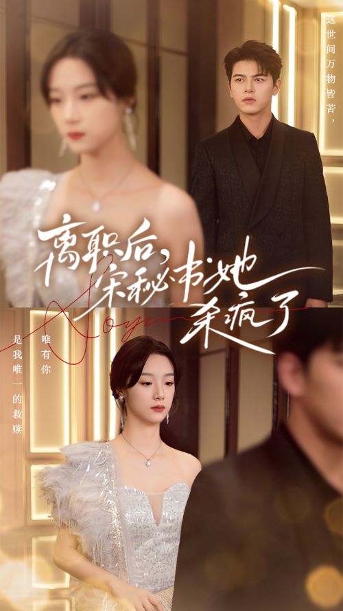 離職后，宋秘書她殺瘋了