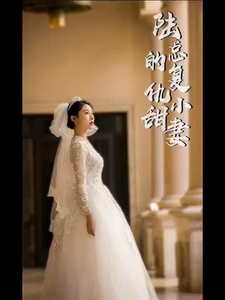 陸總的復仇小甜妻