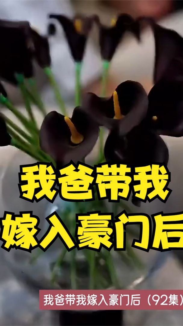 我爸帶我嫁入豪門后