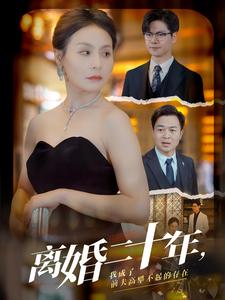 離婚二十年，我成了前夫高攀不起的存在