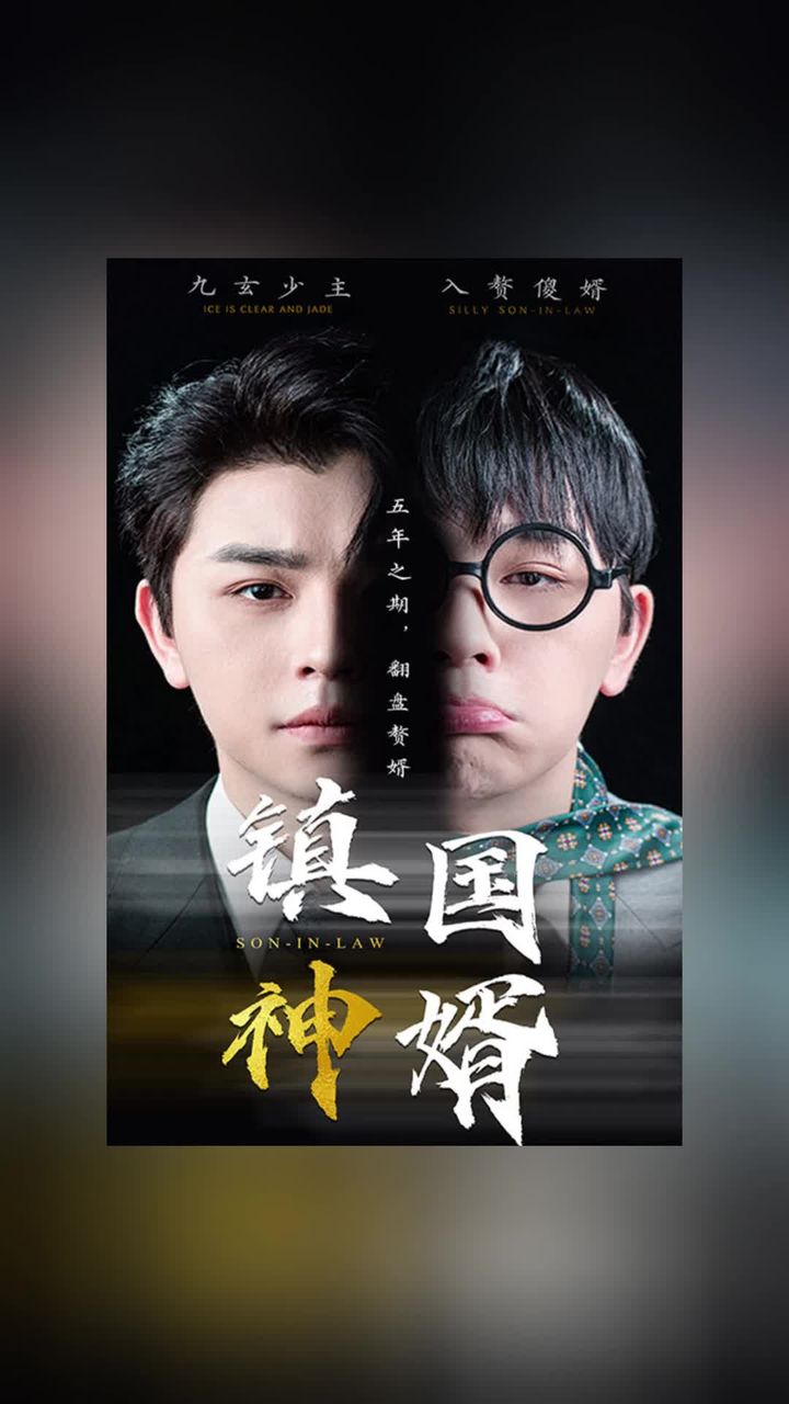 鎮(zhèn)國神婿新版