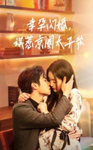 幸孕閃婚，誤惹京圈太子爺